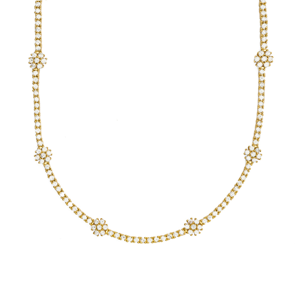DOURADO