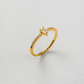 DOURADO