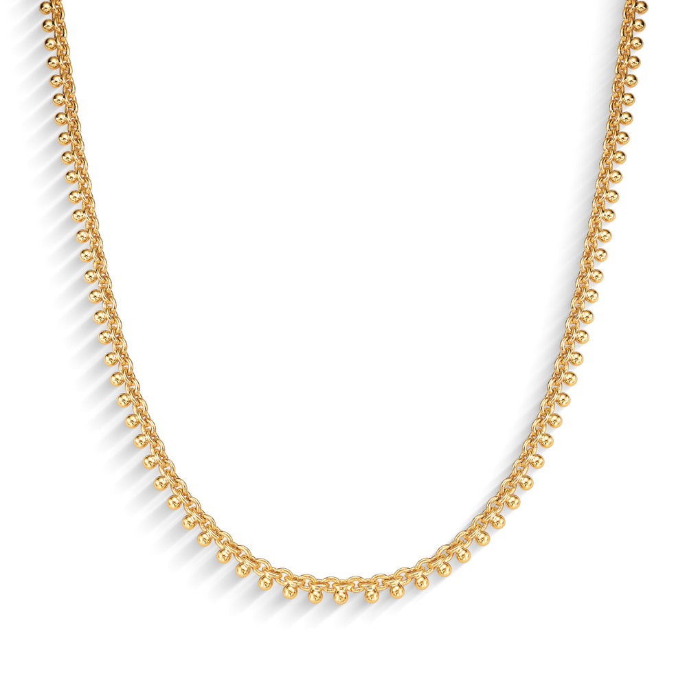 DOURADO