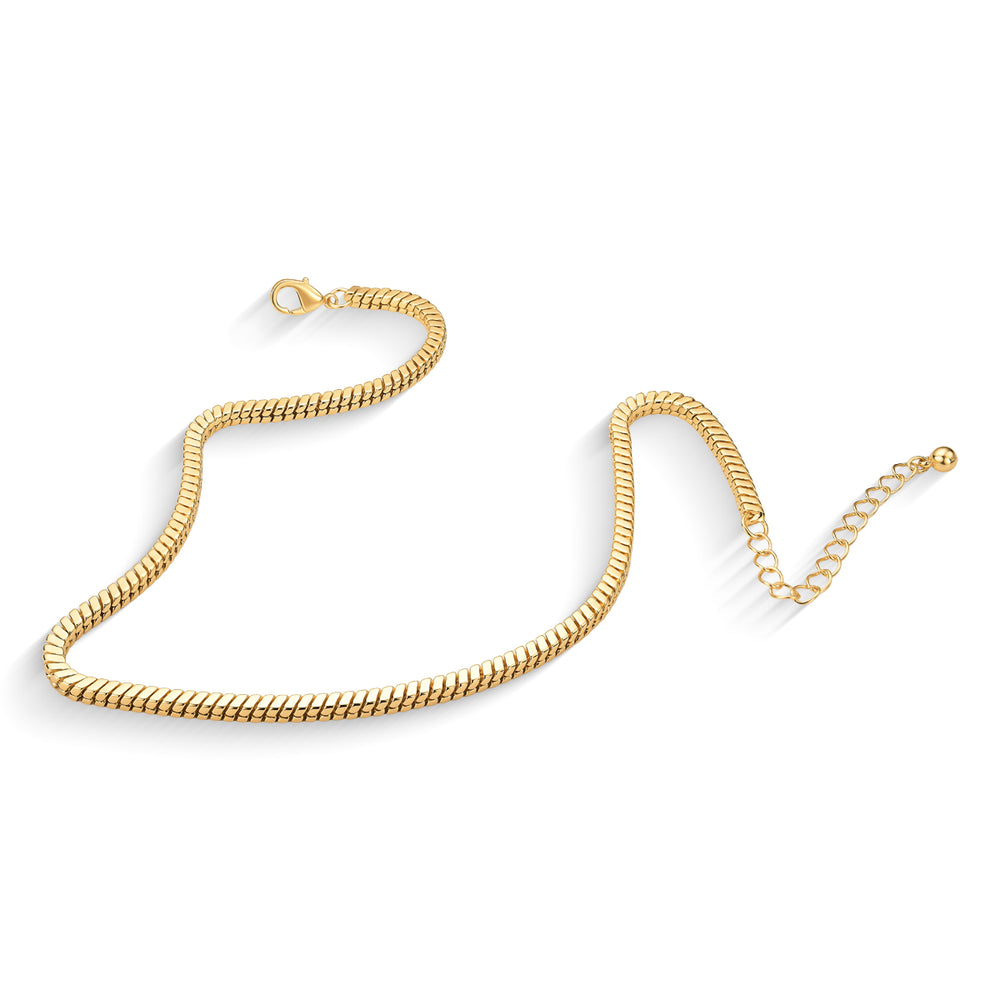 DOURADO